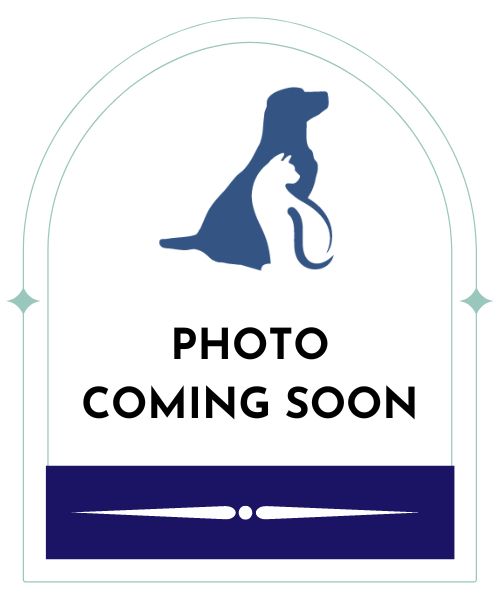 Photo Coming Soon