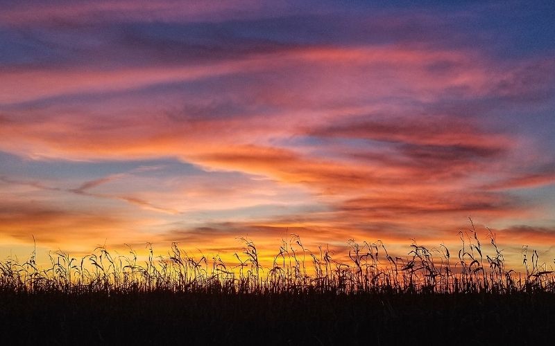 Kansas sunset